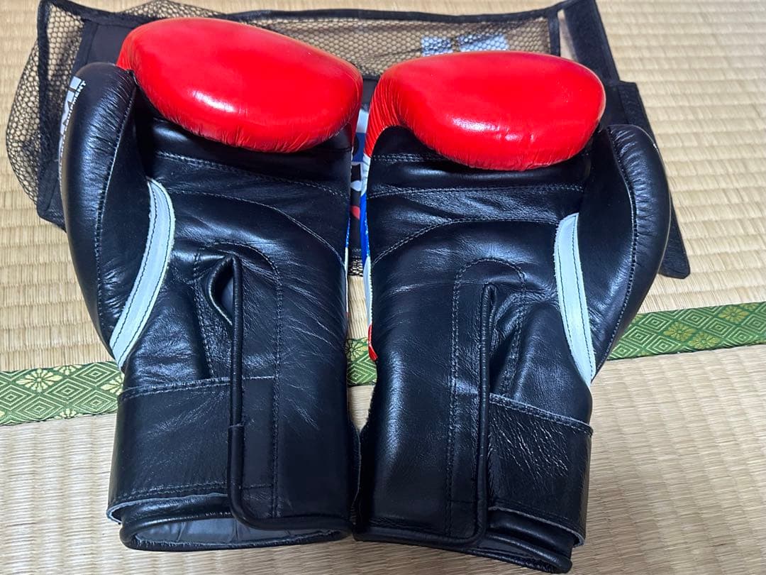 タイマサイ　ウィンディ　ISAMI 格闘技　まとめ