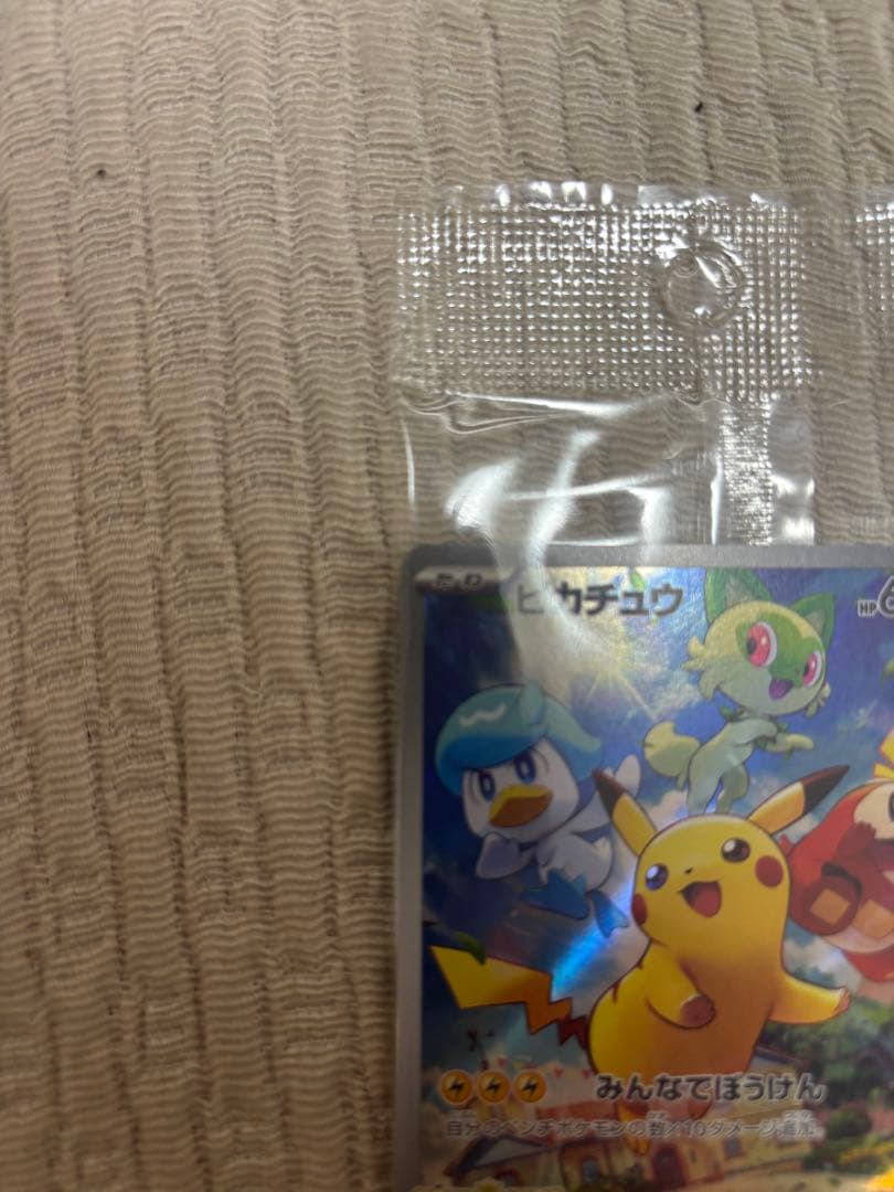 写真確認用