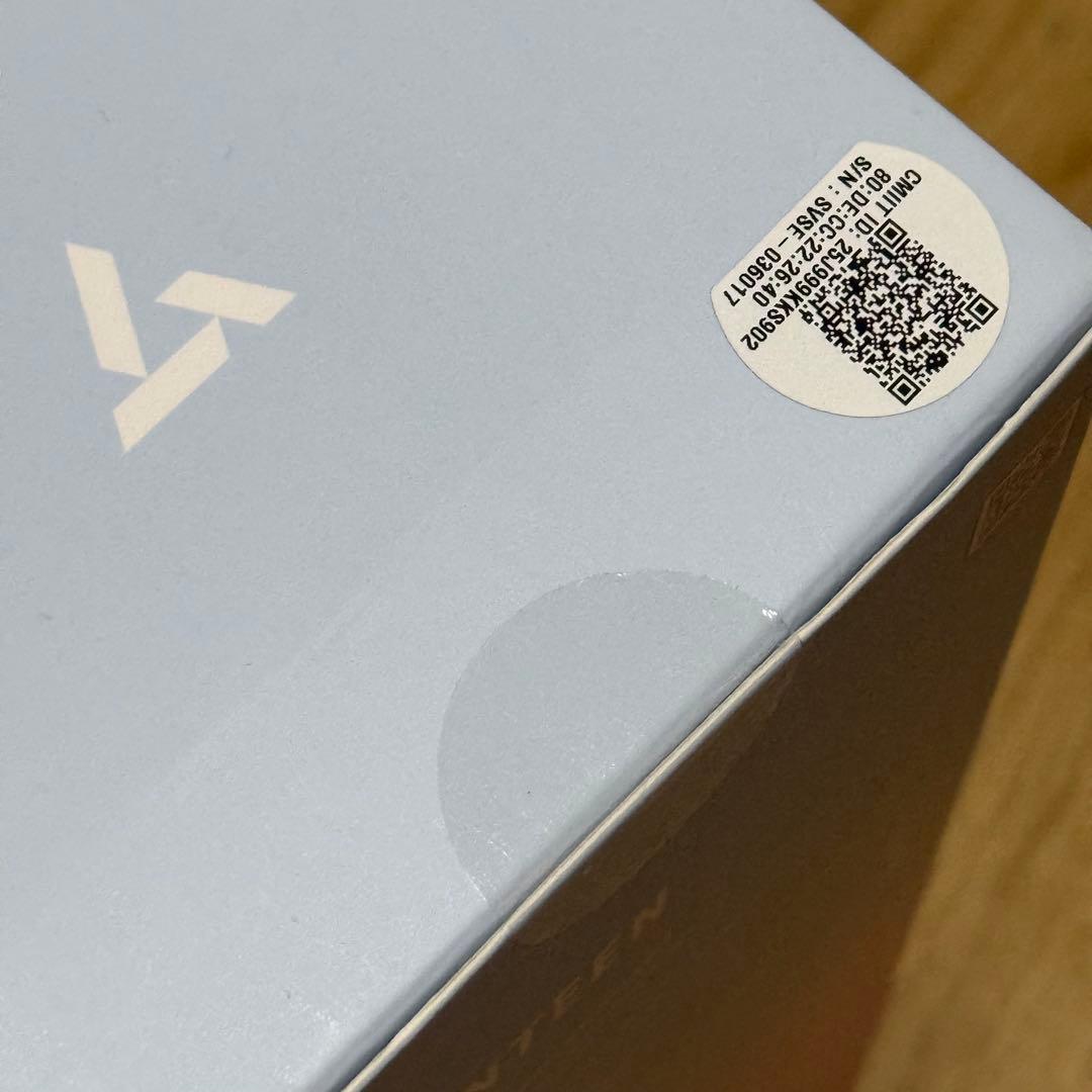 SEVENTEEN LIGHT STICK Ver.3 10周年 カラット棒