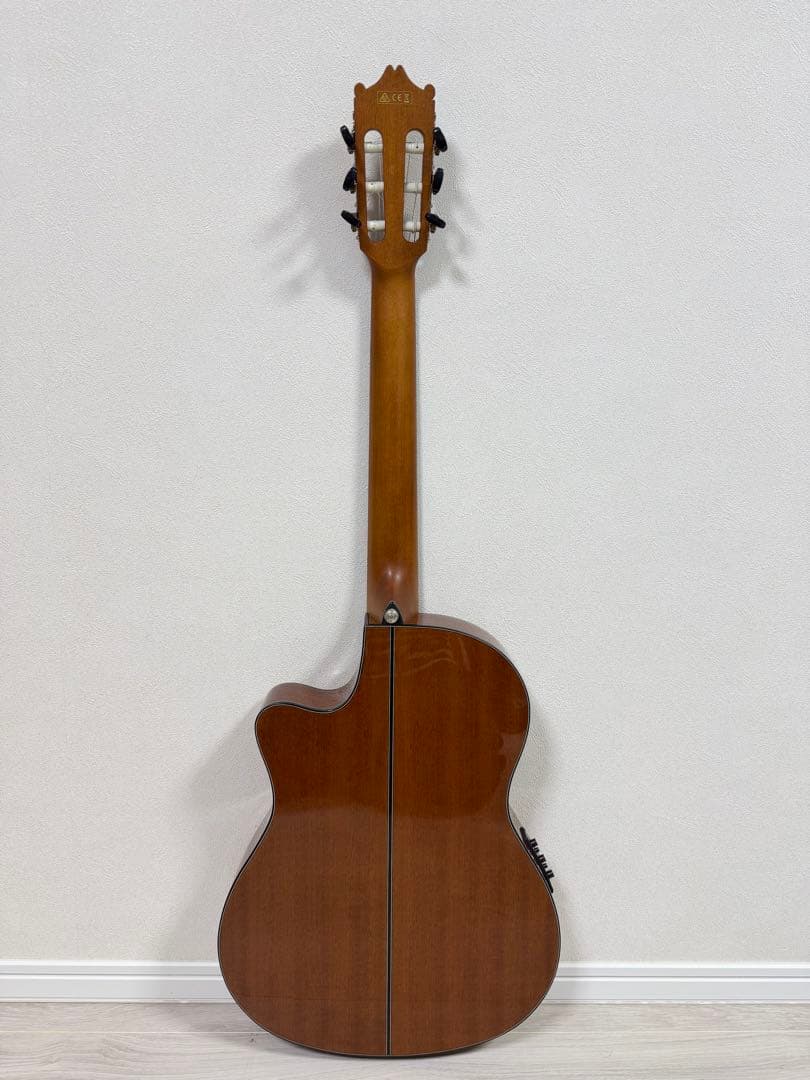 Ibanez エレガットギター GA30TCE-NT