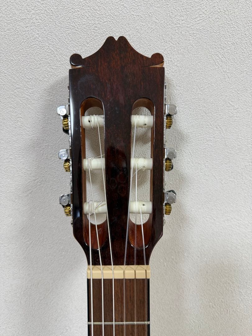 Ibanez エレガットギター GA30TCE-NT