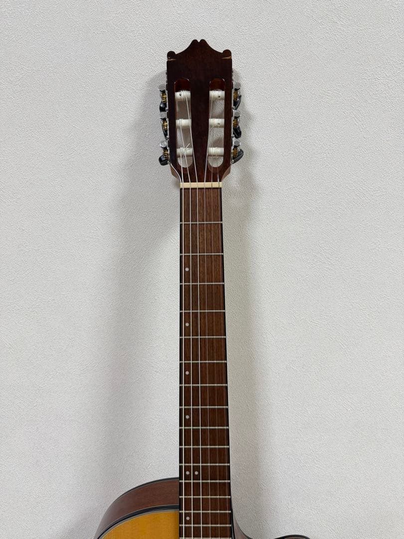 Ibanez エレガットギター GA30TCE-NT