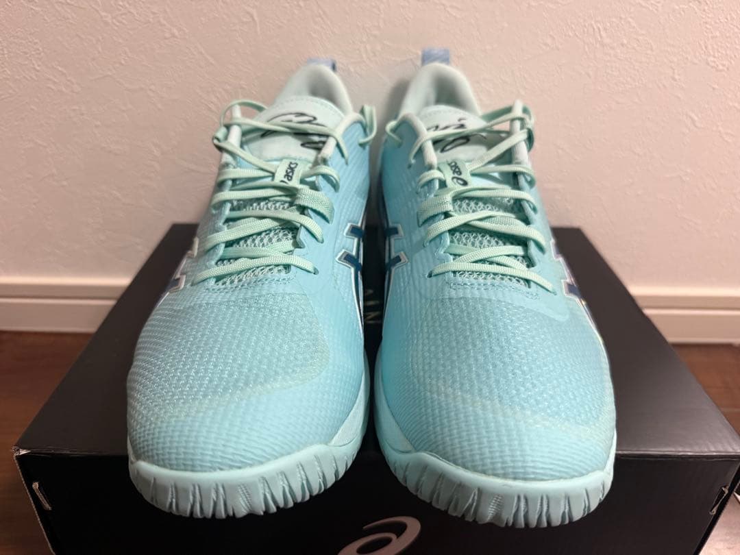 シューズ(男性用) ASICS SWIFTACE yuki 28cm