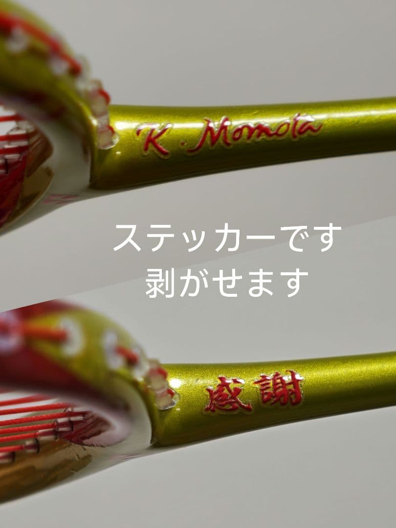 リ*ン様 カスタム塗装 アストロクス99プロ 三代目 4u5 YONEX AST
