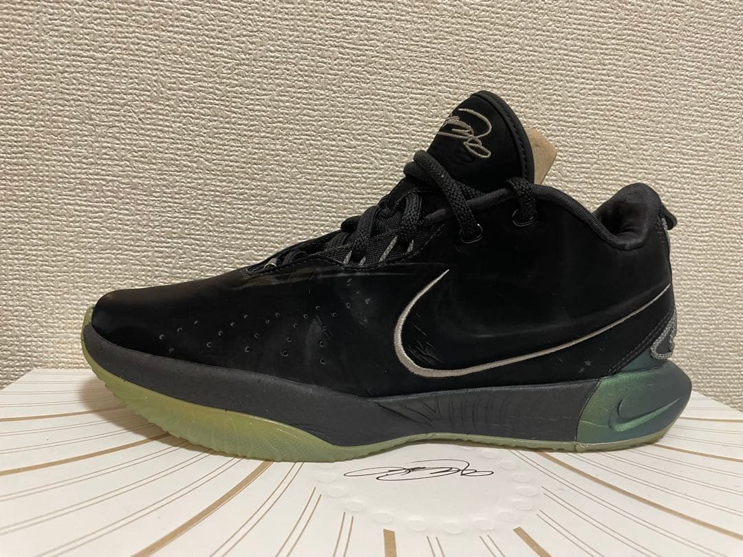 Nike レブロン 21 EP FB2236-001 タイタン
