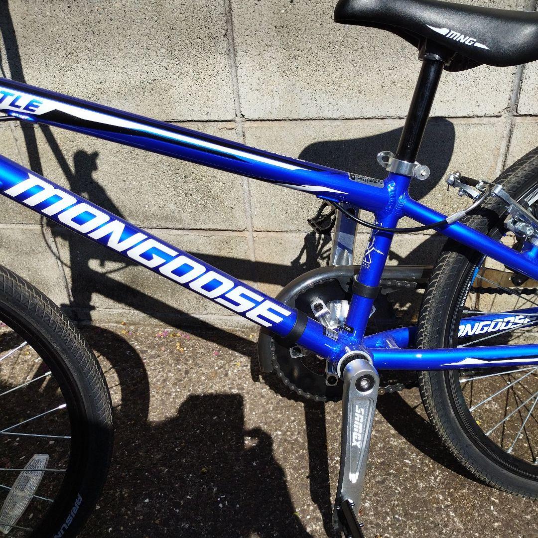MON EXPERT BMX 20インチ 青