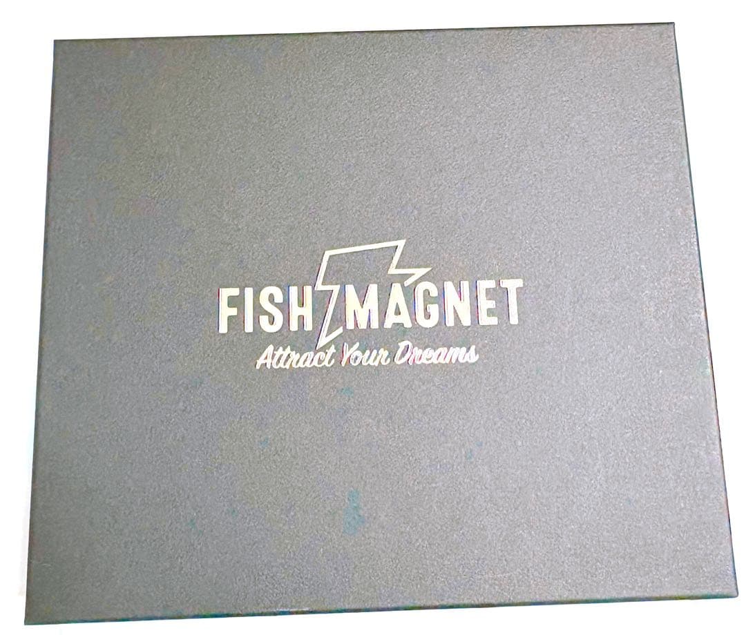 フィッシュマグネット　FISH MAGNET タイガン　キープキャスト2026