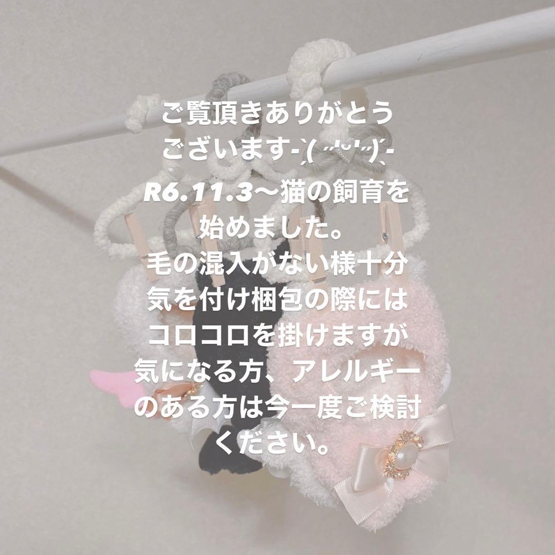ちみけも　ちびぐるみ　ぬい服　着ぐるみ　10cm スタイ　苺　オーダーページ