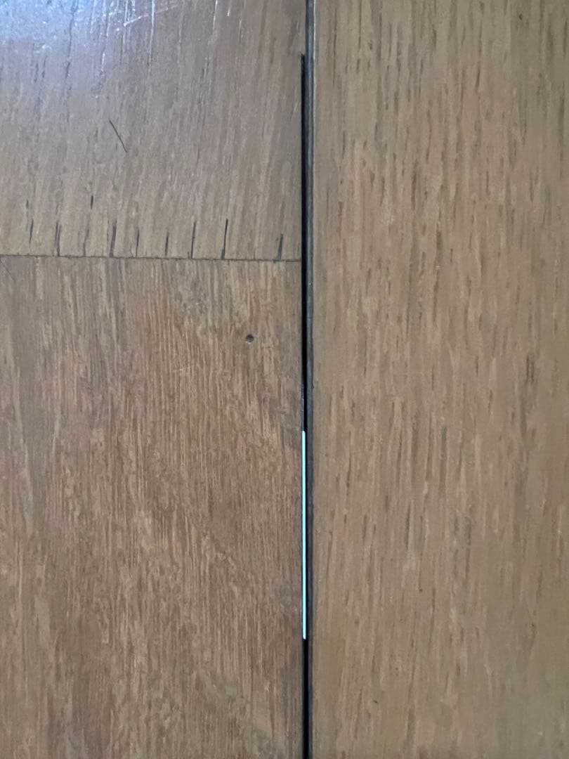 DAIWA メガディス A 1.25-53・E #1
