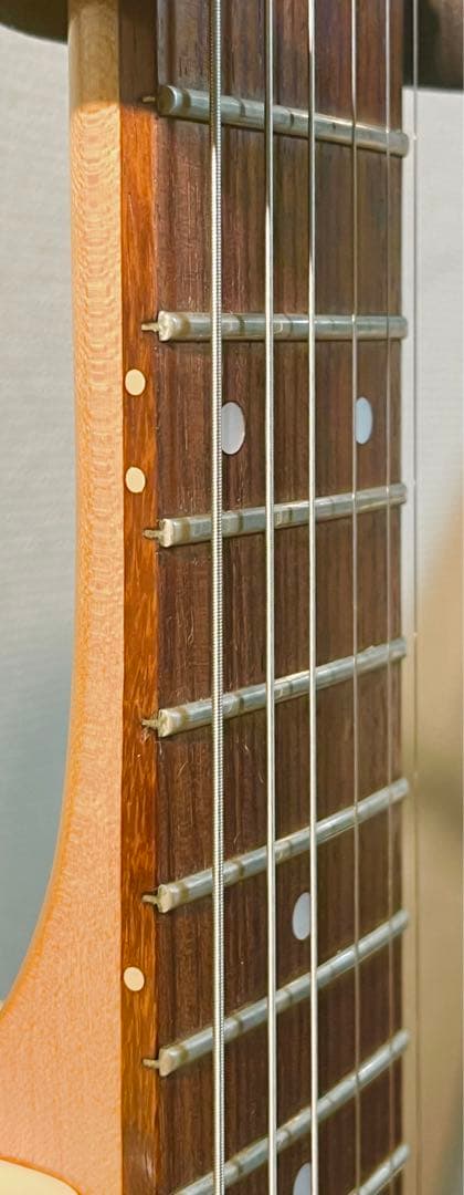 ゆ*ー様 Godin Radiator