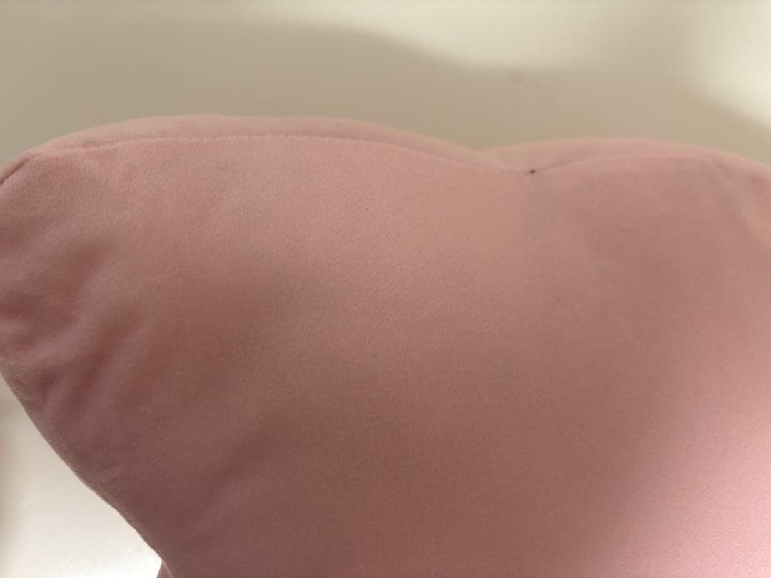 ちろぴのクッション 2個セット　ちろる　ぴの　ぬいぐるみ