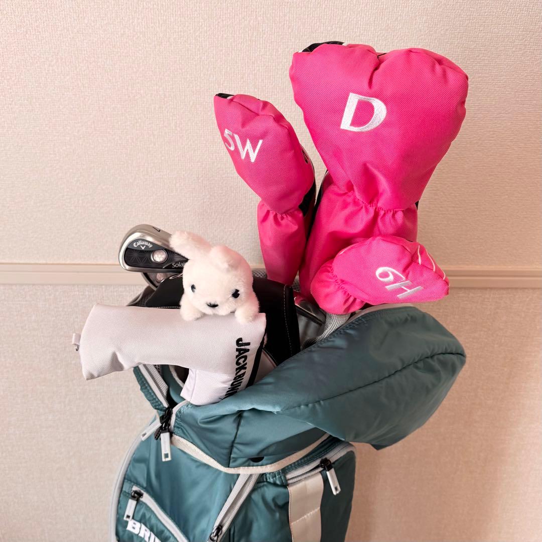 BRIEFING キャディバッグ Callaway 初心者 クラブセット 8本