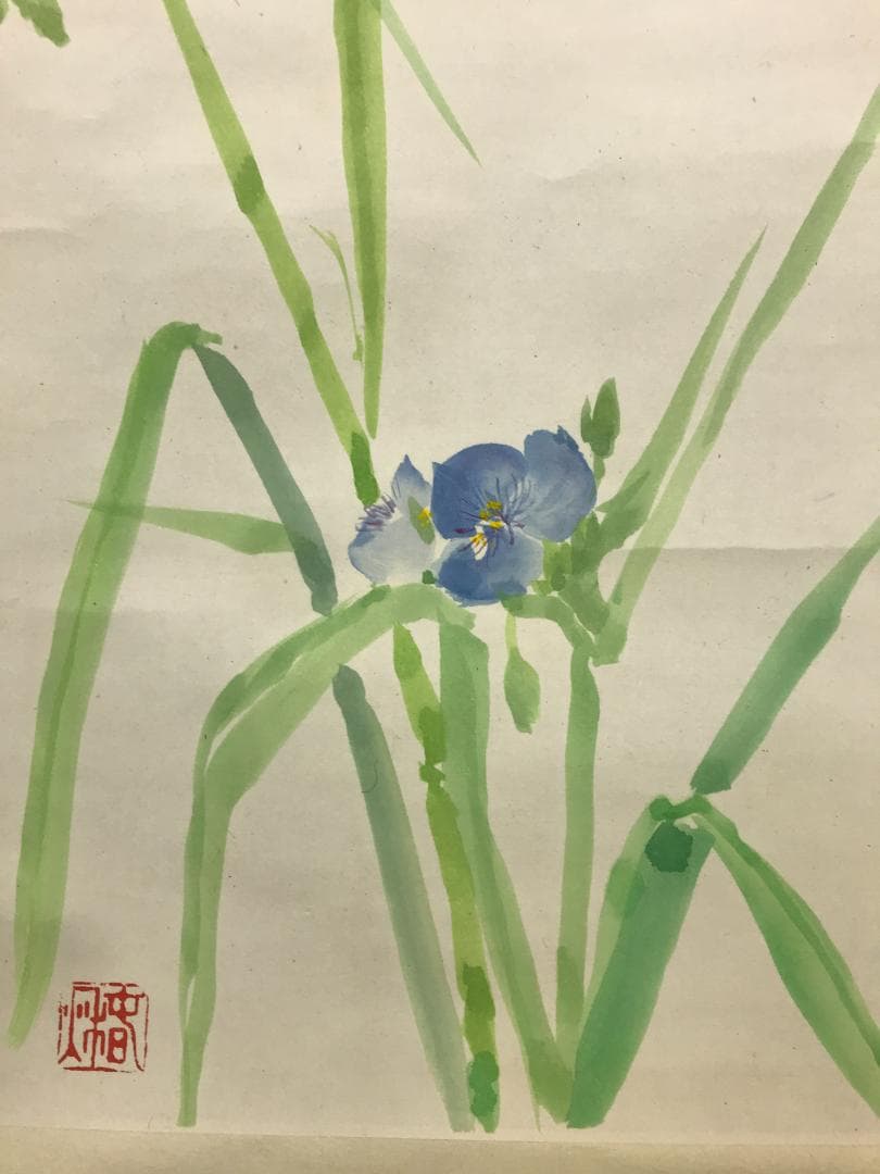 真作/春秋/石上庵春秋/露草/水仙/花/花鳥/桐共箱付/布袋屋掛軸HK-168