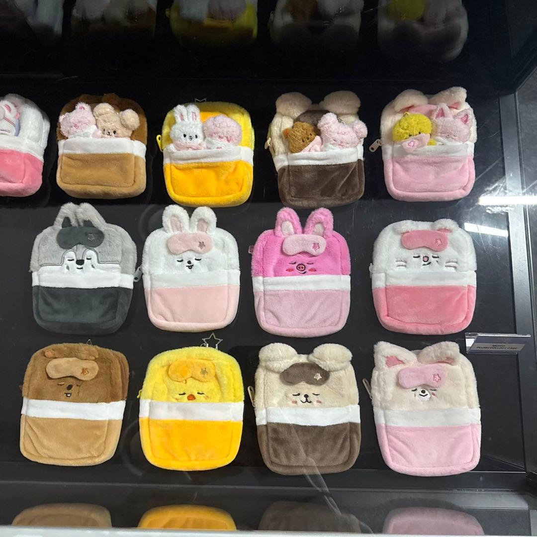 Skzoo STRAYKIDS 韓国 ペンミ コレクトケース チャンビン