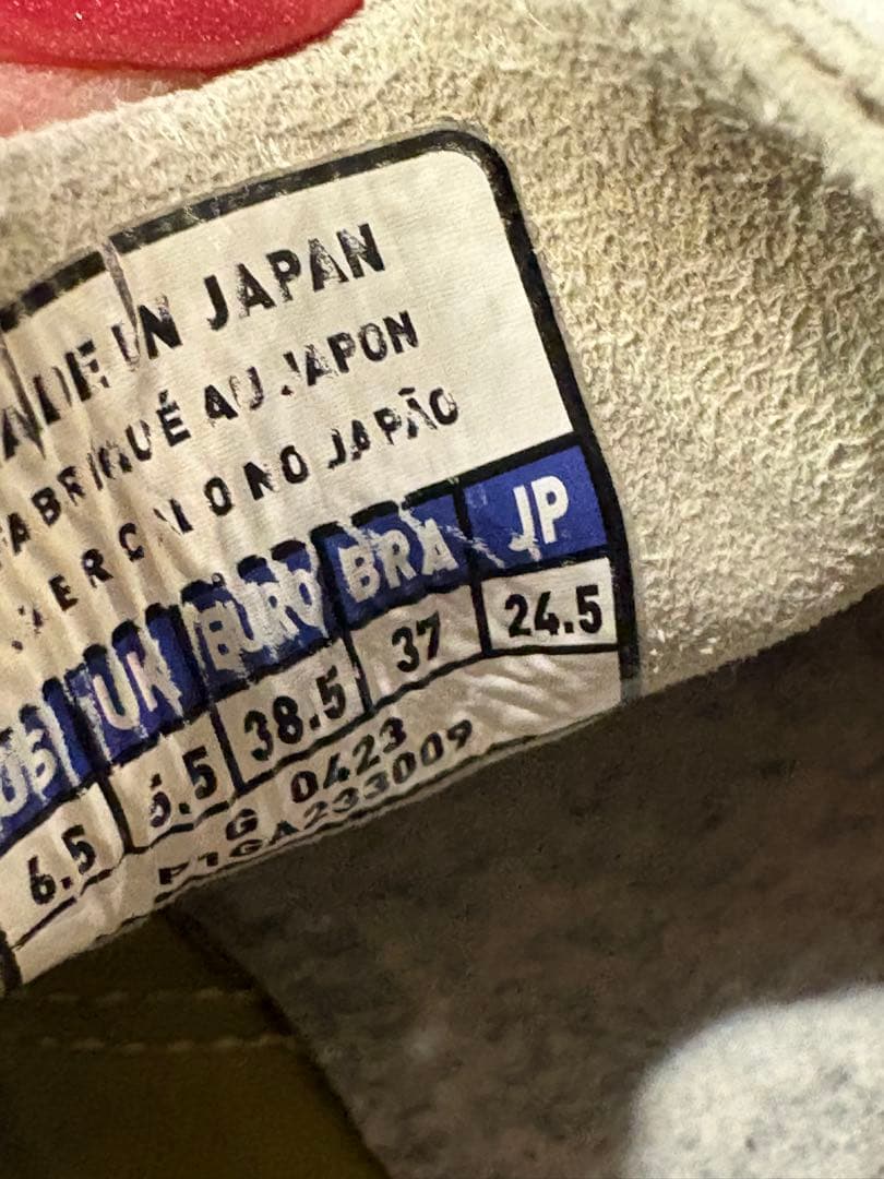 24.5㎝モレリアネオ4Mizuno Morelia Neo4