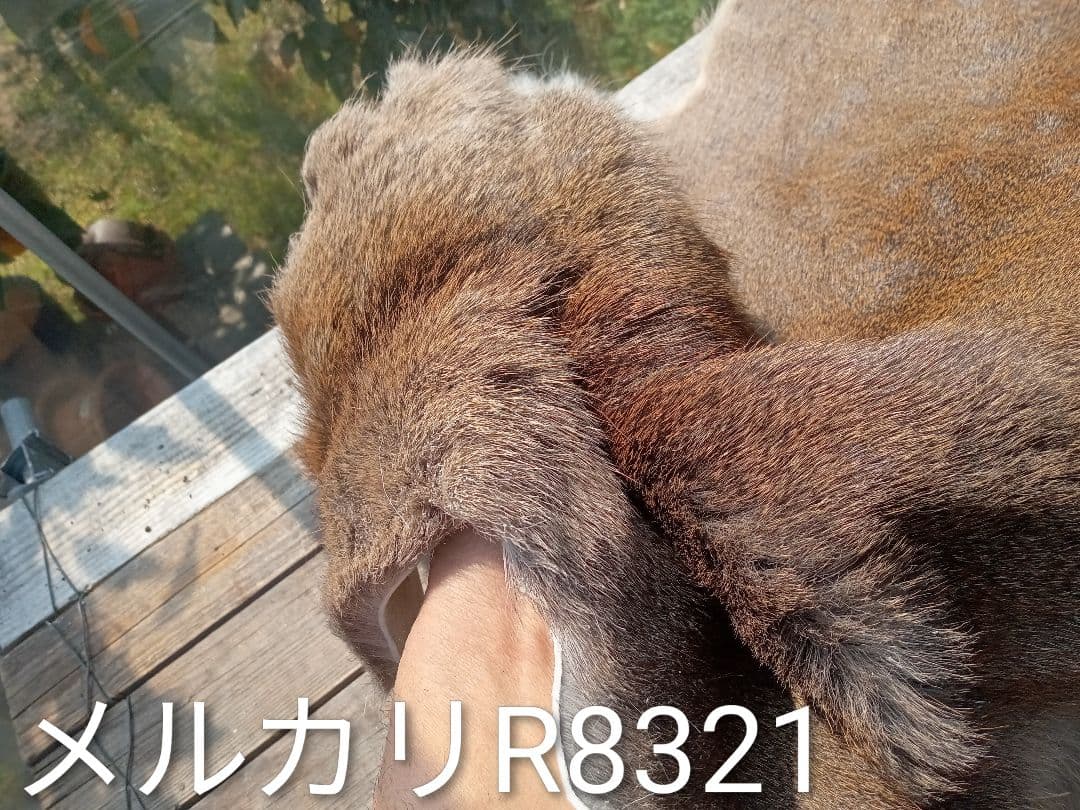 天然日本鹿の冬毛　ラグ