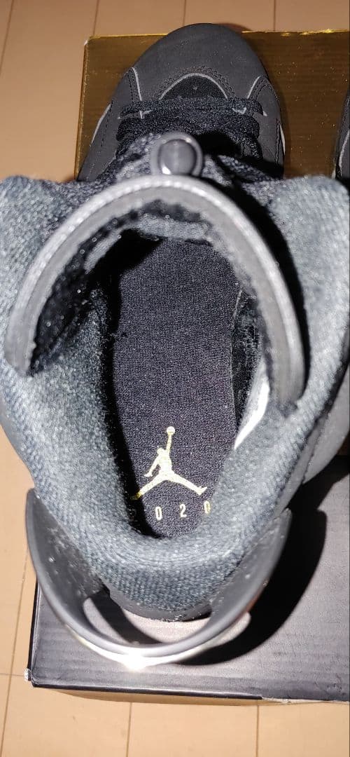 ナイキ AIRJORDAN 6 レトロ DMP
