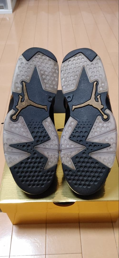 ナイキ AIRJORDAN 6 レトロ DMP