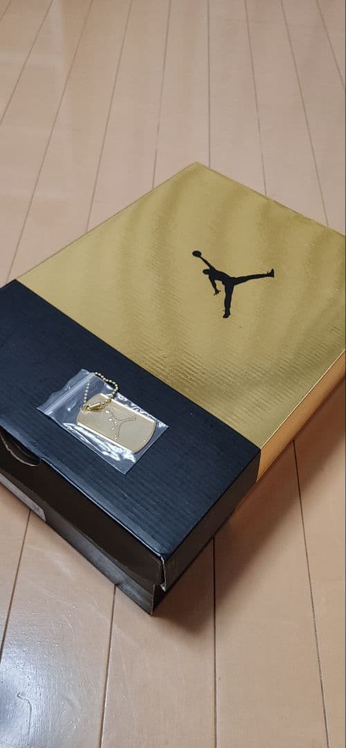 ナイキ AIRJORDAN 6 レトロ DMP