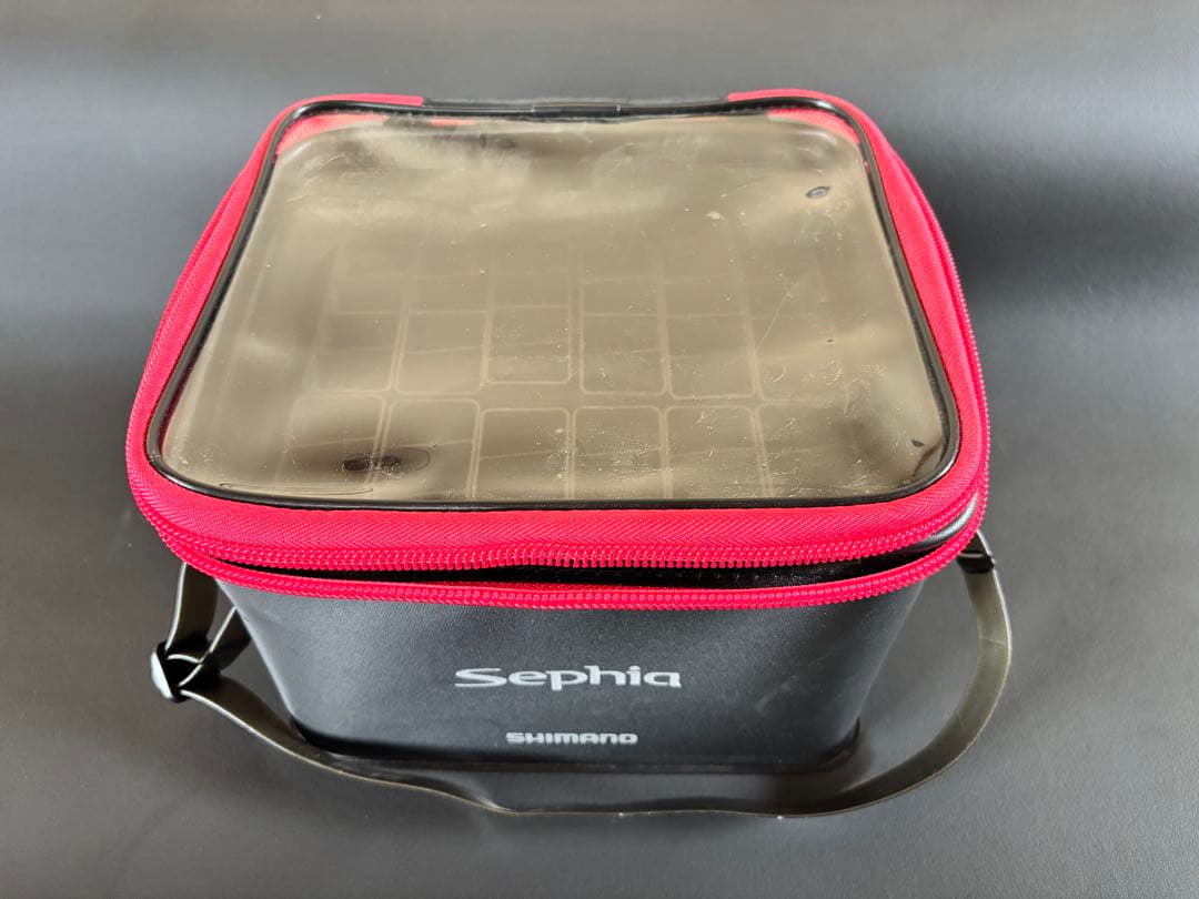 ティップラン　エギ　アオリイカ