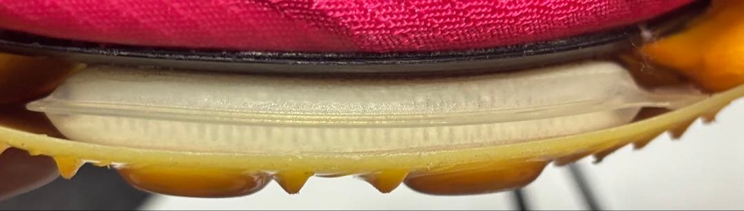 Nike エアズーム マックスフライ1【25.0cm】パンク無し maxfly