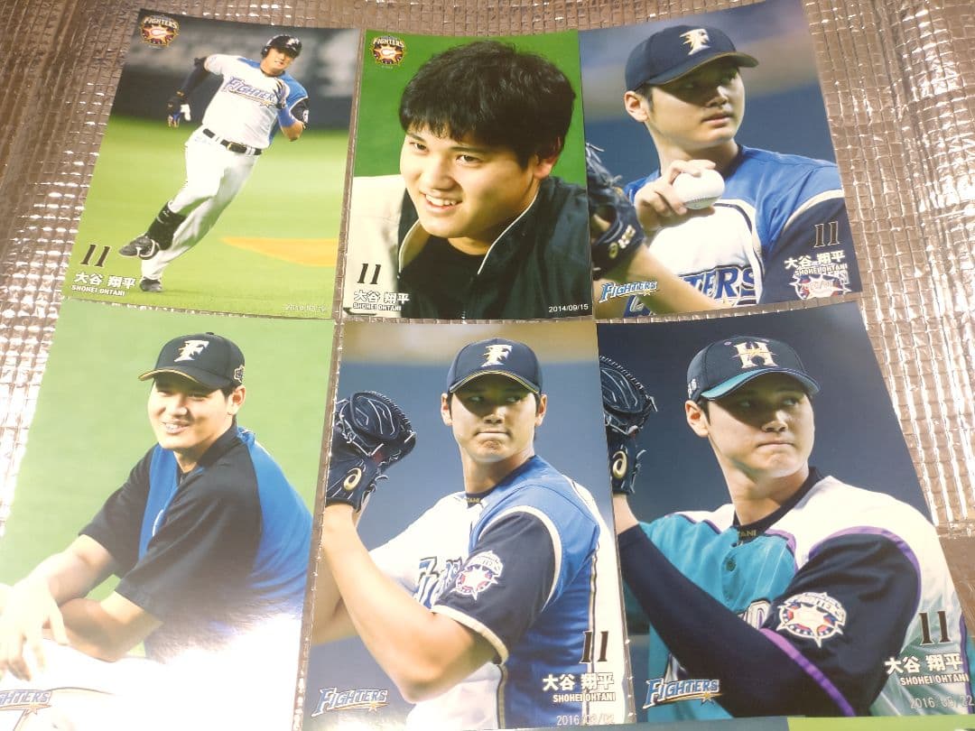 大谷翔平 ハイライトフォト 球団公式写真 ③ 10枚セット 日本ハム