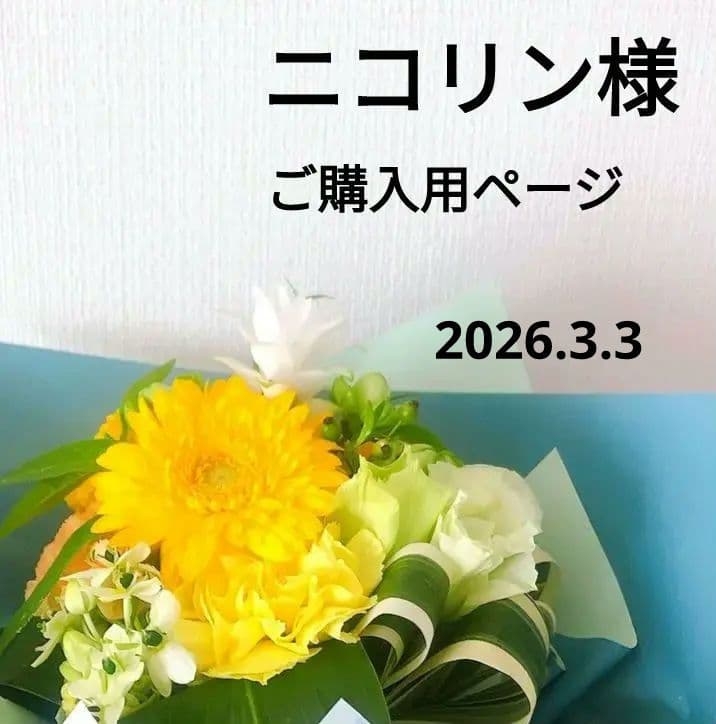 ニコリン様　ゴージャス華やかな赤の髪飾り　社交ダンス　ベリーダンス　イヤリング