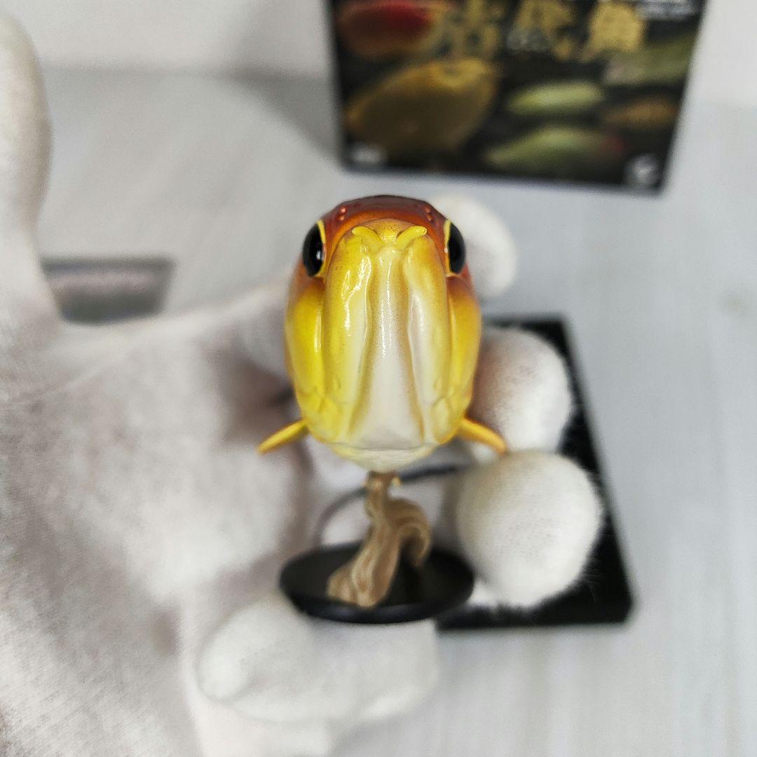 【動物の惑星】レア★アロワナ（シークレット）★フィギュア