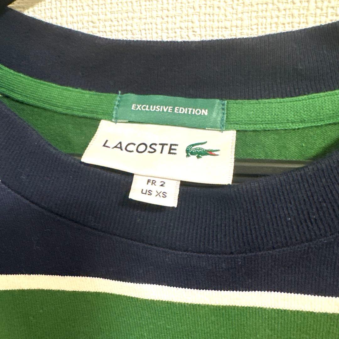 ラコステ　ビームス　ボーダーTシャツ　グリーン