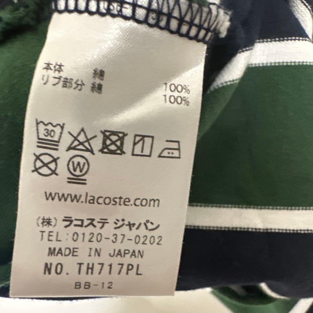 ラコステ　ビームス　ボーダーTシャツ　グリーン
