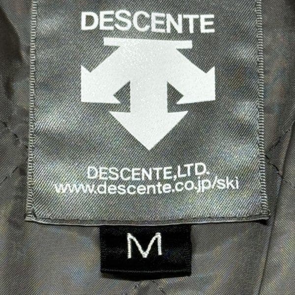 DESCENTE THENO DOWN EXPERT SKIING スキーウェア