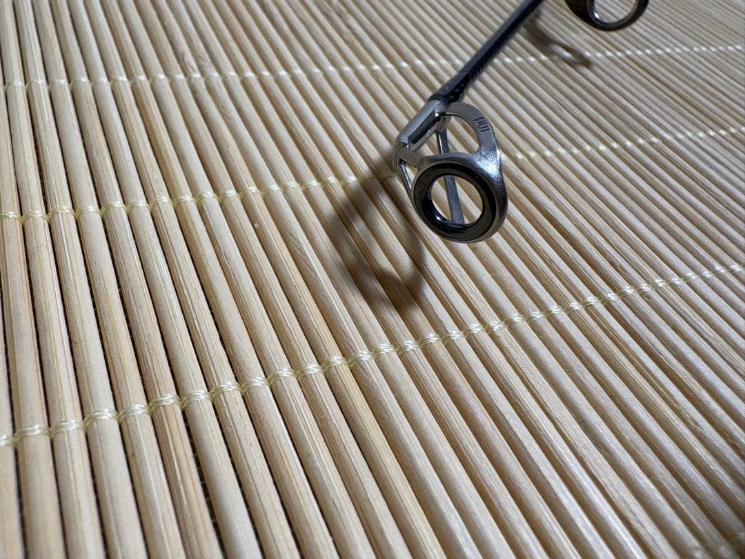ロッド DAIWA SALTIGA J TECHNICAL STEER S55-2.5