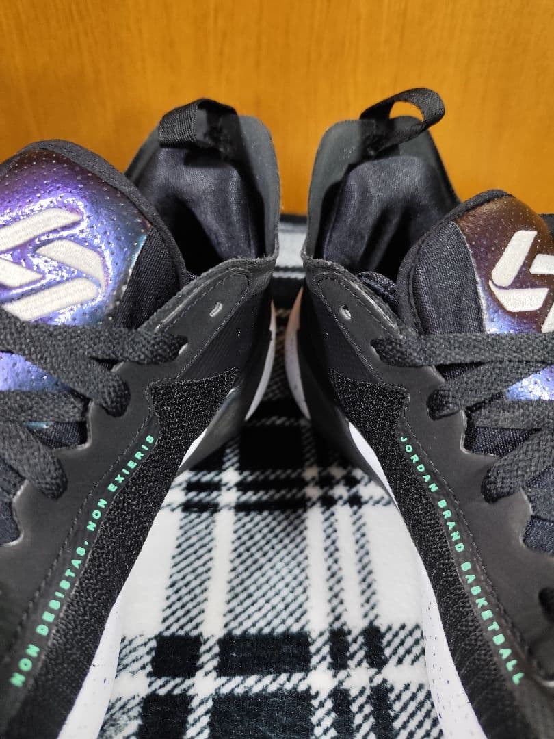 Jordan Luka 1 ナイキ ジョーダン ルカ1 27.0cm