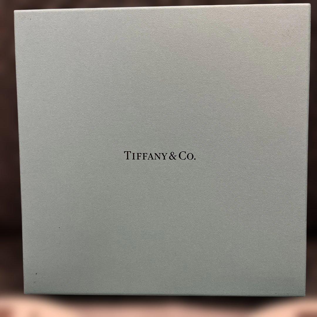 TIFFANY & Co. 5th Avenue プレート 2枚セット