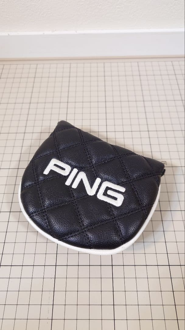 S*A様 PING FETCH (2024)　３４インチ