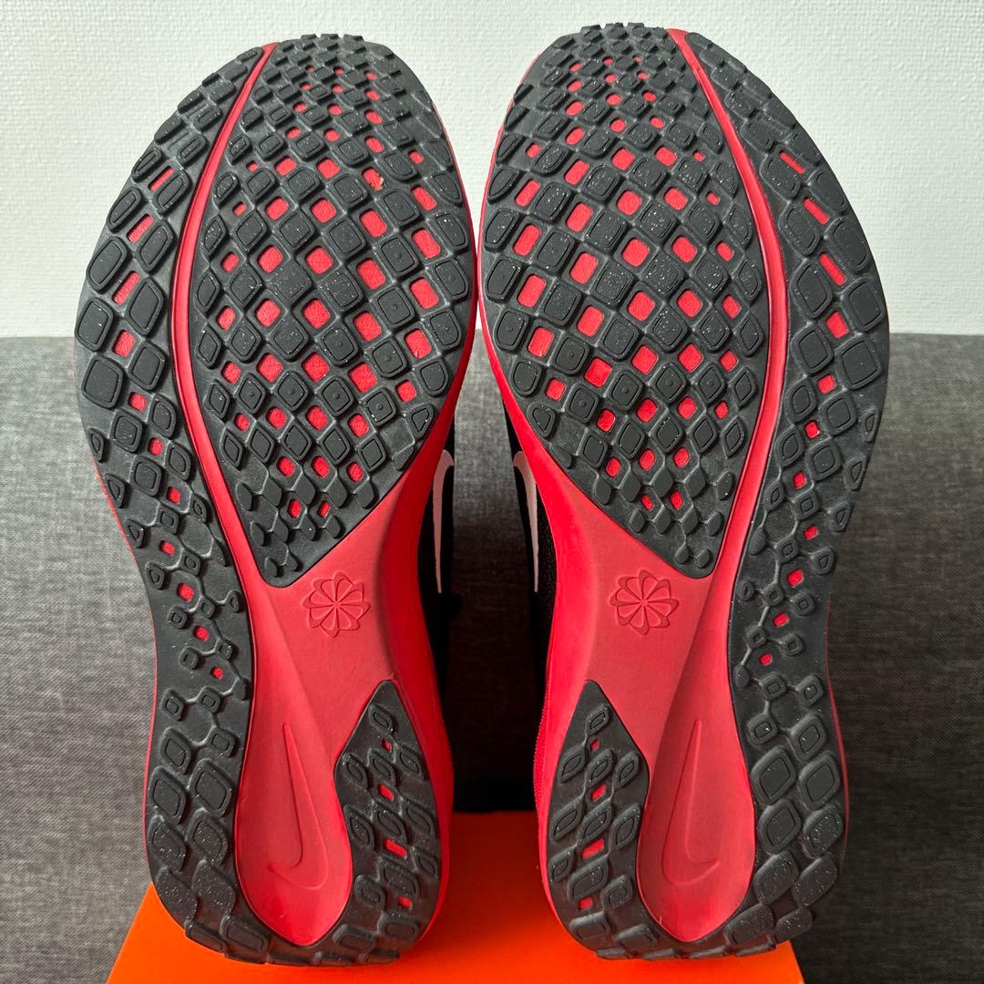 ペガサス 41 NIKE ナイキ 28.5cm