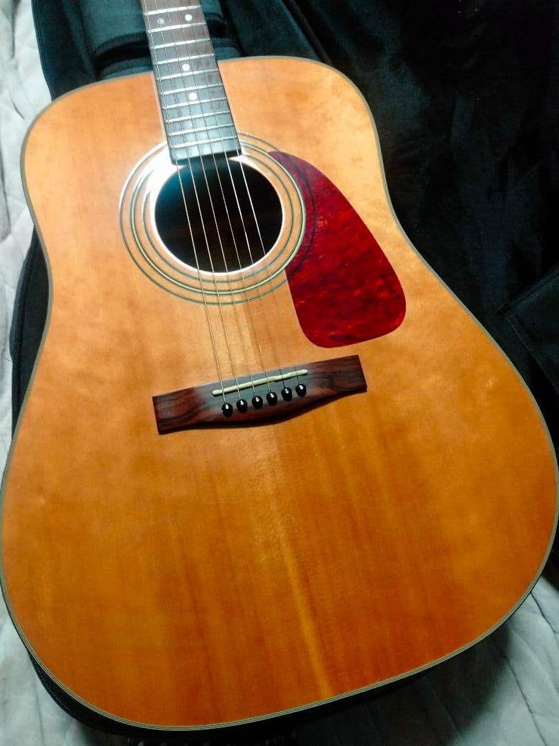 Fender トップ単 韓国製 DG21S ドレッドノート