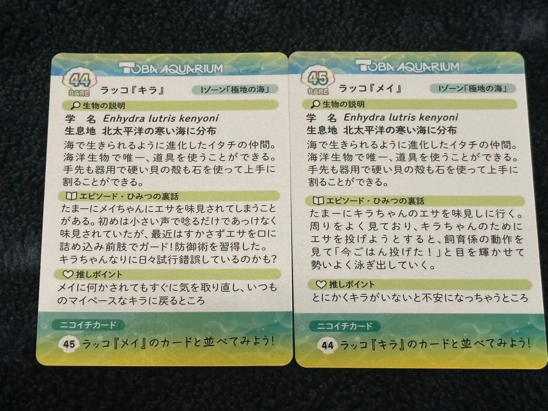 鳥羽水族館コレクションカードvol.2 メイキラ　ニコイチカード 44 45番