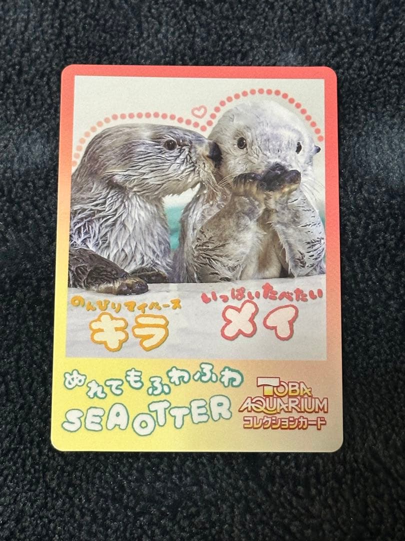 鳥羽水族館コレクションカードvol.2 メイキラ　ニコイチカード 44 45番