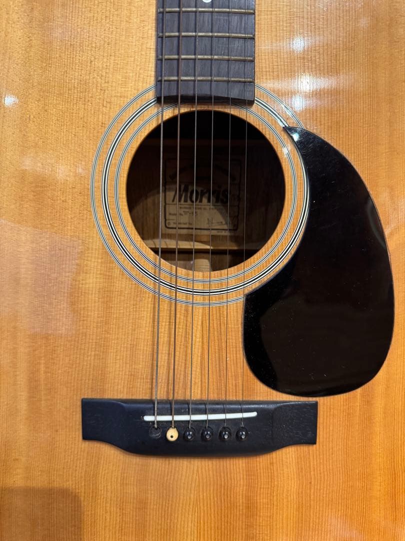 【Morris】Model No, W-15 アコースティックギター