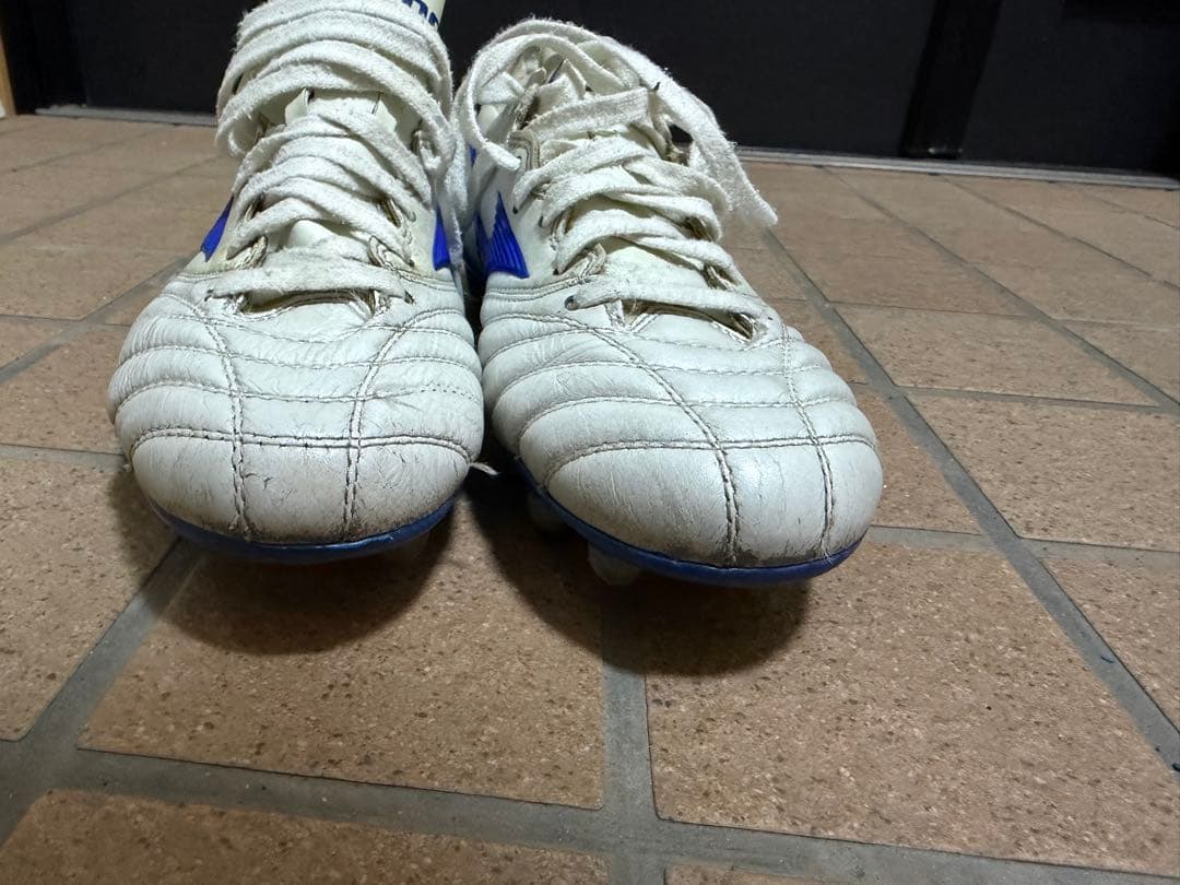 Mizuno モレリアネオ2
