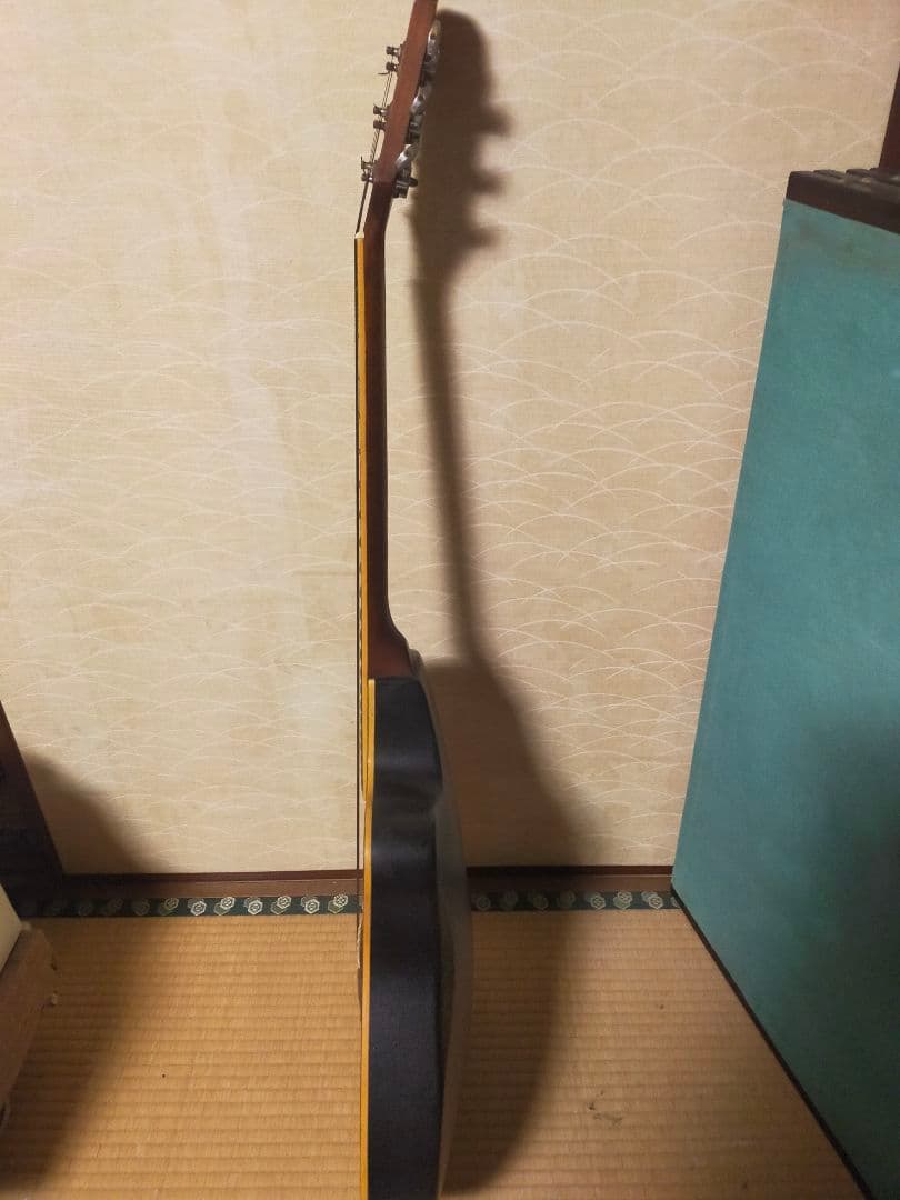 Pro Martin プロマーティン エレアコ