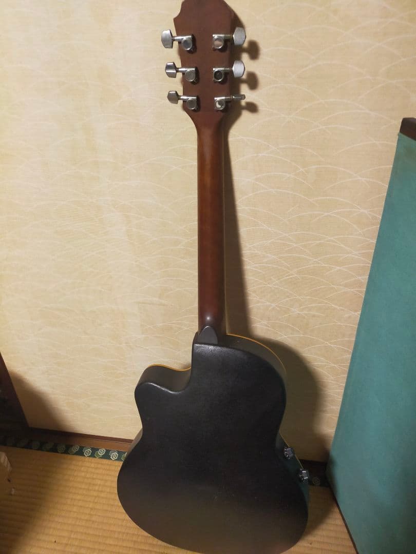 Pro Martin プロマーティン エレアコ