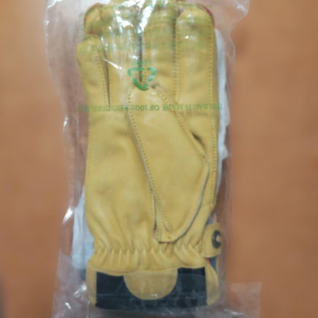 HESTRA WAKAYAMA ８