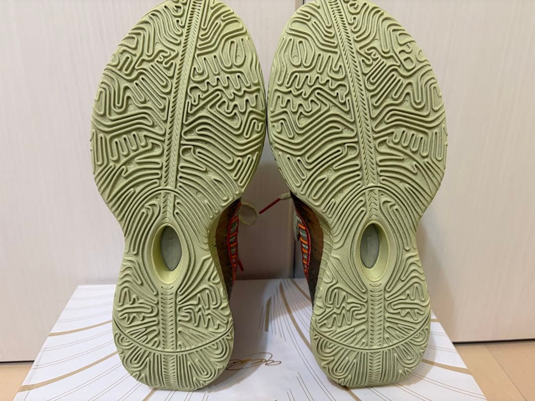 シューズ(男性用) NIKE LEBRON 21 27.5cm