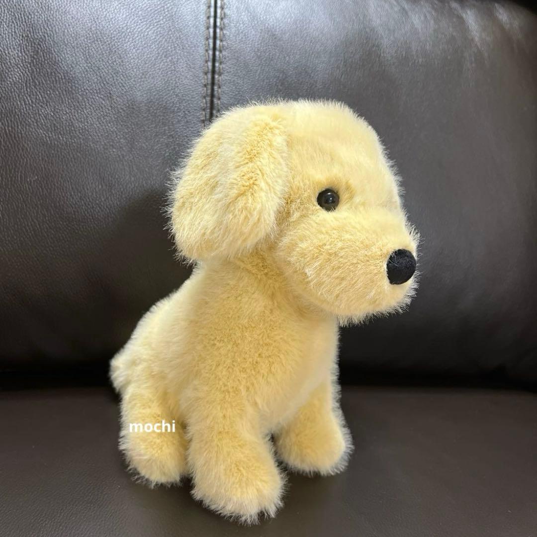  Golden Puppy ゴールデンレトリバー
