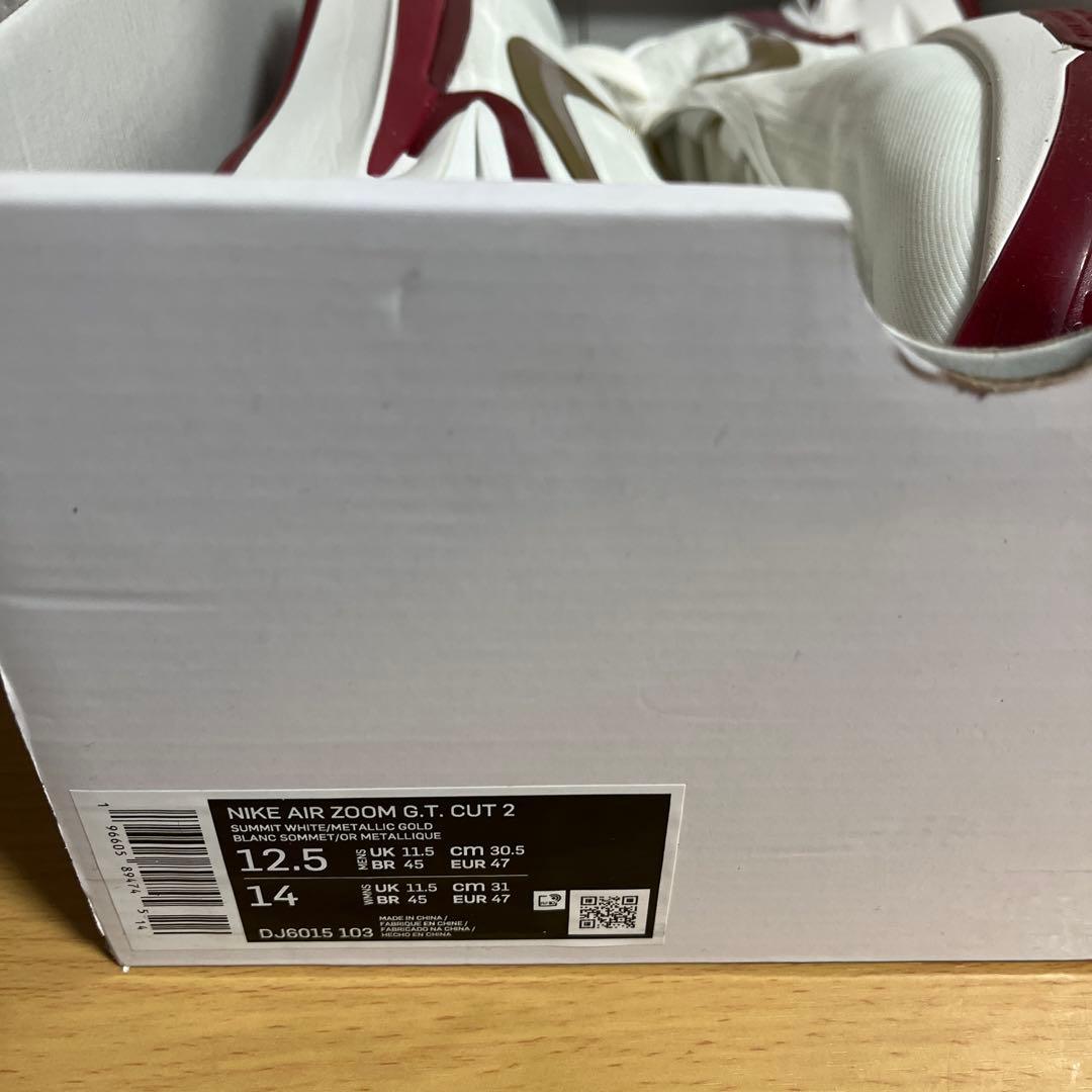 新品 NIKE AIR ZOOM G.T. CUT2 白 30.5cm