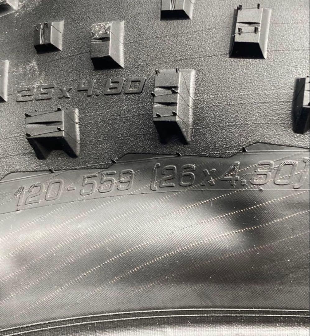 schwalbe jumbo jim 26×4.80 2本セット　タイヤ